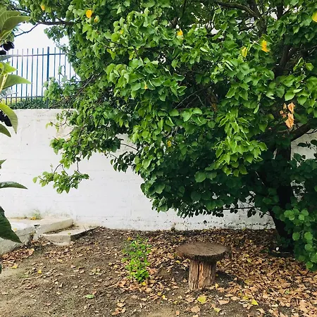 Artemision Hébergement de vacances