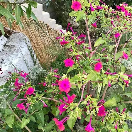 Artemision Hébergement de vacances *