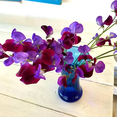 Artemision Realmonte