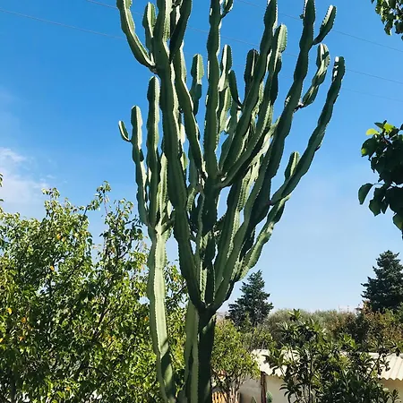 Σπίτι διακοπών Artemision *