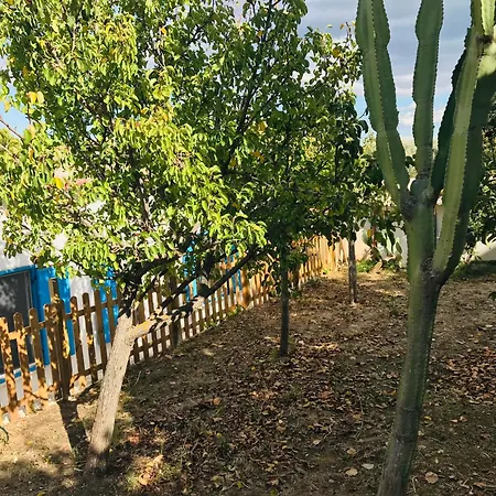 Holiday home Artemision Realmonte