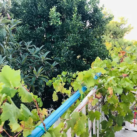 Σπίτι διακοπών Artemision